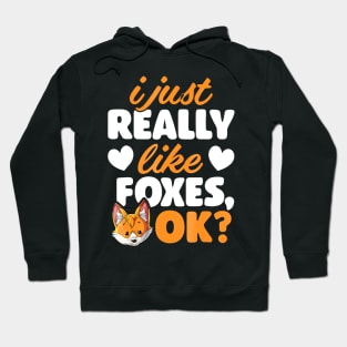 I Just Really Like Foxes OK Fox Funny Red Foxes Hoodie